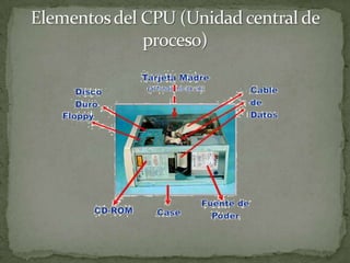 Elementos del CPU (Unidad central de proceso)