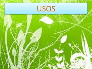 USOS
