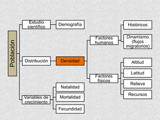 Población
Estudio
científico
Demografía
Distribución Densidad
Factores
humanos
Históricos
Dinamismo
(flujos
migratorios)
Factores
físicos
Altitud
Latitud
Relieve
Recursos
Variables de
crecimiento
Natalidad
Mortalidad
Fecundidad
 