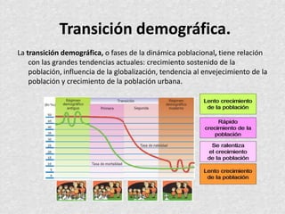 Transición demográfica.
La transición demográfica, o fases de la dinámica poblacional, tiene relación
con las grandes tendencias actuales: crecimiento sostenido de la
población, influencia de la globalización, tendencia al envejecimiento de la
población y crecimiento de la población urbana.
 