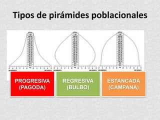 Tipos de pirámides poblacionales
PROGRESIVA
(PAGODA)
REGRESIVA
(BULBO)
ESTANCADA
(CAMPANA)
 