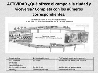 ACTIVIDAD ¿Qué ofrece el campo a la ciudad y
viceversa? Completa con los números
correspondientes.
1.- Alimentos 4.- Medios técnicos 7.- Productos del sector primario
2.- Comercio,
productos
manufacturados.
5.- Suelo 8.- Medios de transporte público
3.- Población (mano
de obra)
6.- Servicios
comunicacionales
9.- Medios de recreación e
información masiva.
 