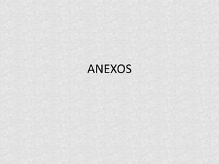 ANEXOS
 