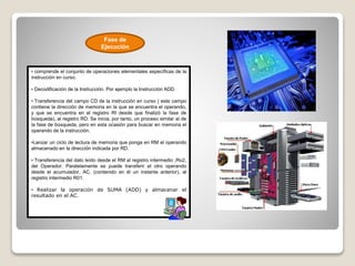 • comprende el conjunto de operaciones elementales específicas de la
instrucción en curso.
• Decodificación de la Instrucción. Por ejemplo la Instrucción ADD.
• Transferencia del campo CD de la instrucción en curso ( este campo
contiene la dirección de memoria en la que se encuentra el operando,
y que se encuentra en el registro RI desde que finalizó la fase de
búsqueda), al registro RD. Se inicia, por tanto, un proceso similar al de
la fase de búsqueda, pero en esta ocasión para buscar en memoria el
operando de la instrucción.
•Lanzar un ciclo de lectura de memoria que ponga en RM el operando
almacenado en la dirección indicada por RD.
• Transferencia del dato leído desde el RM al registro intermedio ,Ro2,
del Operador. Paralelamente se puede transferir el otro operando
desde el acumulador, AC, (contenido en él un instante anterior), al
registro intermedio R01.
• Realizar la operación de SUMA (ADD) y almacenar el
resultado en el AC.
Fase de
Ejecución
 