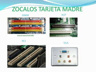 ZOCALOS TARJETA MADRE
DIMM AGP
PCI
VGA
 