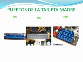 PUERTOS DE LA TARJETA MADRE
IDE
ATX
SATA
 