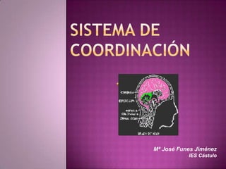 SISTEMA DE COORDINACIÓN Mª José Funes Jiménez IES Cástulo 