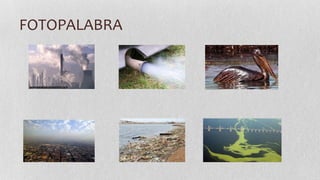 FOTOPALABRA

 