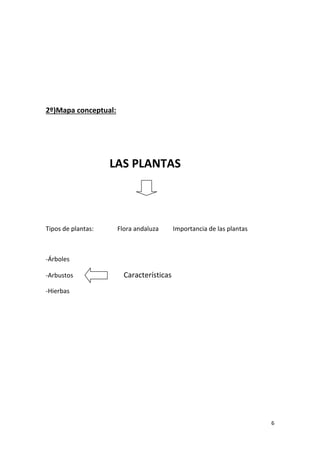 6
2º)Mapa conceptual:
LAS PLANTAS
Tipos de plantas: Flora andaluza Importancia de las plantas
-Árboles
-Arbustos Características
-Hierbas
 