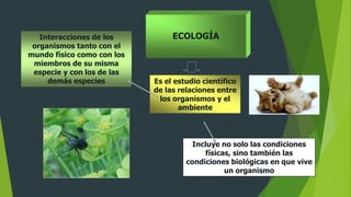 ECOLOGÍA
Es el estudio científico
de las relaciones entre
los organismos y el
ambiente
Incluye no solo las condiciones
físicas, sino también las
condiciones biológicas en que vive
un organismo
Interacciones de los
organismos tanto con el
mundo físico como con los
miembros de su misma
especie y con los de las
demás especies
 