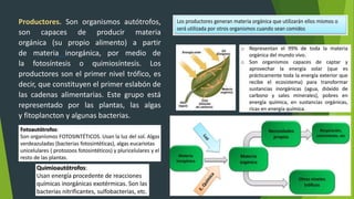 Productores. Son organismos autótrofos,
son capaces de producir materia
orgánica (su propio alimento) a partir
de materia inorgánica, por medio de
la fotosíntesis o quimiosíntesis. Los
productores son el primer nivel trófico, es
decir, que constituyen el primer eslabón de
las cadenas alimentarias. Este grupo está
representado por las plantas, las algas
y fitoplancton y algunas bacterias.
 