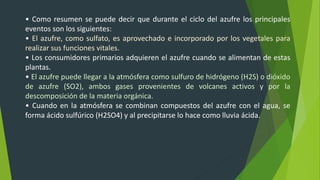 • Como resumen se puede decir que durante el ciclo del azufre los principales
eventos son los siguientes:
• El azufre, como sulfato, es aprovechado e incorporado por los vegetales para
realizar sus funciones vitales.
• Los consumidores primarios adquieren el azufre cuando se alimentan de estas
plantas.
• El azufre puede llegar a la atmósfera como sulfuro de hidrógeno (H2S) o dióxido
de azufre (SO2), ambos gases provenientes de volcanes activos y por la
descomposición de la materia orgánica.
• Cuando en la atmósfera se combinan compuestos del azufre con el agua, se
forma ácido sulfúrico (H2SO4) y al precipitarse lo hace como lluvia ácida.
 