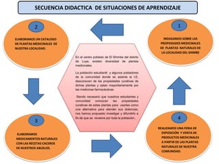 En el centro poblado de El Shimbe del distrito
de Luya, existen diversidad de plantas
medicinales.
La población estudiantil y algunos pobladores
de la comunidad donde se asienta la I.E,
desconocen de las propiedades curativas de
dichas plantas y optan mayoritariamente por
las medicinas farmacéuticas.
Siendo necesario que nuestros estudiantes y
comunidad conozcan las propiedades
curativas de estas plantas para usarlas como
una alternativa para atender sus dolencias,
nos hemos propuesto investigar y difundirlo a
fin de que se revalore por toda la población..
INDAGAMOS SOBRE LAS
PROPIEDADES MEDICINALES
DE PLANTAS NATURALES DE
LA LOCALIDAD DEL SHIMBE
ELABORAMOS
MEDICAMENTOS NATURALES
CON LAS RECETAS CACEROS
DE NUESTROS ABUELOS.
REALIZAMOS UNA FERIA DE
EXPOSICIÓN Y VENTA DE
PRODUCTOS MEDICINALES
A PARTIR DE LAS PLANTAS
NATURALES DE NUESTRA
COMUNIDAD.
ELABORAMOS UN CATALOGO
DE PLANTAS MEDICINALES DE
NUESTRA LOCALIDAD.
12
3
4
SECUENCIA DIDACTICA DE SITUACIONES DE APRENDIZAJE
 