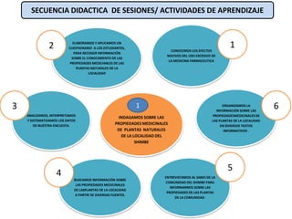 INDAGAMOS SOBRE LAS
PROPIEDADES MEDICINALES
DE PLANTAS NATURALES
DE LA LOCALIDAD DEL
SHIMBE
CONOCEMOS LOS EFECTOS
NOCIVOS DEL USO EXCESIVO DE
LA MEDICINA FARMACEUTICA
ELABORAMOS Y APLICAMOS UN
CUESTIONARIO A LOS ESTUDIANTES,
PARA RECOGER INFORMACIÓN
SOBRE EL CONOCIMIENTO DE LAS
PROPIEDADES MEDICIANLES DE LAS
PLANTAS NATURALES DE LA
LOCALIDAD
ANALIZAMOS, INTERPRETAMOS
Y SISTEMATIZAMOS LOS DATOS
DE NUESTRA ENCUESTA.
BUSCAMOS INFORMACIÓN SOBRE
LAS PROPIEDADES MEDICINALES
DE LASPLANTAS DE LA LOCALIDAD
A PARTIR DE DIVERSAS FUENTES.
ORGANIZAMOS LA
INFORMACIÓN SOBRE LAS
PROPIEDADESMEDICINALES DE
LAS PLANTAS DE LA LOCALIDAD
EN DIVERSOS TEXTOS
INFORMATIVOS .
ENTREVISTAMOS AL SABIO DE LA
COMUNIDAD DEL SHIMBE PARA
INFORMARNOS SOBRE LAS
PROPIEDADES DE LAS PLANTAS
DE LA COMUNIDAD.
1
5
4
3
2
61
SECUENCIA DIDACTICA DE SESIONES/ ACTIVIDADES DE APRENDIZAJE
 