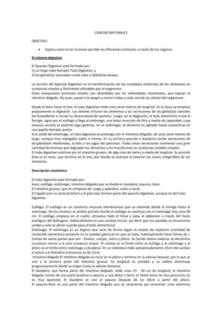 CIENCIAS NATURALES

OBJETIVO:

        Explica como el ser humano percibe los diferentes estímulos a través de los organos.

El sistema digestivo

El Aparato Digestivo está formado por:
1) un largo tubo llamado Tubo Digestivo, y
2) las glándulas asociadas a este tubo o Glándulas Anejas.

La función del Aparato Digestivo es la transformación de las complejas moléculas de los alimentos en
sustancias simples y fácilmente utilizables por el organismo.
Estos compuestos nutritivos simples son absorbidos por las vellosidades intestinales, que tapizan el
intestino delgado. Así pues, pasan a la sangre y nutren todas y cada una de las células del organismo .

Desde la boca hasta el ano, el tubo digestivo mide unos once metros de longitud. En la boca ya empieza
propiamente la digestión. Los dientes trituran los alimentos y las secreciones de las glándulas salivales
los humedecen e inician su descomposición química. Luego, en la deglución, el bolo alimenticio cruza la
faringe, sigue por el esófago y llega al estómago, una bolsa muscular de litro y medio de capacidad, cuya
mucosa secreta el potente jugo gástrico, en el estómago, el alimento es agitado hasta convertirse en
una papilla llamada quimo.
A la salida del estómago, el tubo digestivo se prolonga con el intestino delgado, de unos siete metros de
largo, aunque muy replegado sobre sí mismo. En su primera porción o duodeno recibe secreciones de
las glándulas intestinales, la bilis y los jugos del páncreas. Todas estas secreciones contienen una gran
cantidad de enzimas que degradan los alimentos y los transforman en sustancias solubles simples.
El tubo digestivo continúa por el intestino grueso, de algo mas de metro y medio de longitud. Su porción
final es el recto, que termina en el ano, por donde se evacuan al exterior los restos indigeribles de los
alimentos.

Descripción anatómica

El tubo digestivo está formado por:
boca, esófago, estómago, intestino delgado que se divide en duodeno, yeyuno, íleon.
El intestino grueso. que se compone de: ciego y apéndice, colon y recto.
El hígado (con su vesícula biliar) y el páncreas forman parte del aparato digestivo, aunque no del tubo
digestivo.

Esófago: El esófago es un conducto músculo membranoso que se extiende desde la faringe hasta el
estómago. De los incisivos al cardias porción donde el esófago se continua con el estómago hay unos 40
cm. El esófago empieza en el cuello, atraviesa todo el tórax y pasa al abdomen a través del hiato
esofágico del diafragma. Habitualmente es una cavidad virtual. (es decir que sus paredes se encuentran
unidas y solo se abren cuando pasa el bolo alimenticio).
Estómago: El estómago es un órgano que varia de forma según el estado de repleción (cantidad de
contenido alimenticio presente en la cavidad gástrica) en que se halla, habitualmente tiene forma de J.
Consta de varias partes que son : fundus, cuerpo, antro y píloro. Su borde menos extenso se denomina
curvatura menor y la otra curvatura mayor. El cardias es el límite entre el esófago y el estómago y el
píloro es el límite entre estómago y duodeno. En un individuo mide aproximadamente 25cm del cardias
al píloro y el diámetro transverso es de 12cm.
 Intestino delgado:El intestino delgado se inicia en el píloro y termina en la válvula ileoceal, por la que se
une a la primera parte del intestino grueso. Su longitud es variable y su calibre disminuye
progresivamente desde su origen hasta la válvula ileocecal.
El duodeno, que forma parte del intestino delgado, mide unos 25 - 30 cm de longitud; el intestino
delgado consta de una parte próxima o yeyuno y una distal o íleon; el límite entre las dos porciones no
es muy aparente. El duodeno se une al yeyuno después de los 30cm a partir del píloro.
El yeyuno-íleon es una parte del intestino delgado que se caracteriza por presentar unos extremos
 