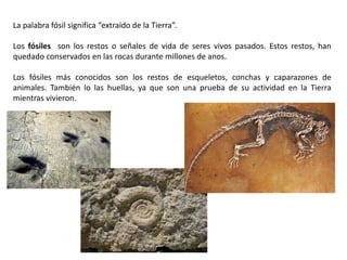 La palabra fósil significa “extraído de la Tierra”.Los fósiles son los restos o señales de vida de seres vivos pasados. Estos restos, han quedado conservados en las rocas durante millones de anos. Los fósiles más conocidos son los restos de esqueletos, conchas y caparazones de animales. También lo las huellas, ya que son una prueba de su actividad en la Tierra mientras vivieron. 