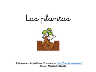 Las plantas
Pictogramas: Sergio Palao Procedencia: http://catedu.es/arasaac/
Autora: Alessandra Huerta
 