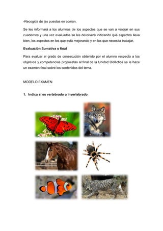-Recogida de las puestas en común.
Se les informará a los alumnos de los aspectos que se van a valorar en sus
cuadernos y una vez evaluados se les devolverá indicando qué aspectos lleva
bien, los aspectos en los que está mejorando y en los que necesita trabajar.
Evaluación Sumativa o final
Para evaluar el grado de consecución obtenido por el alumno respecto a los
objetivos y competencias propuestas al final de la Unidad Didáctica se le hace
un examen final sobre los contenidos del tema.
MODELO EXAMEN
1. Indica si es vertebrado o invertebrado
 