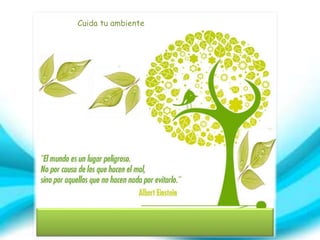 Cuida tu ambiente
 