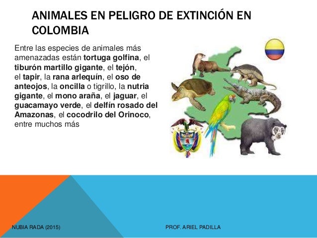 Unidad didactica terminada