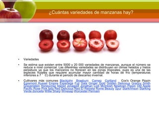 ¿Cuántas variedades de manzanas hay?
• Variedades
• Se estima que existen entre 5000 y 20 000 variedades de manzanas, aunque el número se
reduce a nivel comercial. Las diferentes variedades se distribuyen en climas helados y hielos
perpetuos ya que los manzanos no florecen en las zonas tropicales, pues es una de las
especies frutales que requiere acumular mayor cantidad de horas de frío (temperaturas
inferiores a 7 °C) durante el periodo de descanso invernal.
• Cultivares más comunes Blackjohn Braeburn Cameo Cortland Cox's Orange Pippin
Egremont Russet Empire Esperiega Fuji Gala Ginger Gold Golden Delicious Granny Smith
Gravenstein Honeycrisp Idared Jonagold Jonathan Lodi McIntosh Newtown Pippin Old Apple
Pacific Rose Pink lady Red Delicious Red El Reineta Rome Beauty Spur Starkrimson Starking
Verde doncella Willie Sharp Winesap Worcester Permain
 