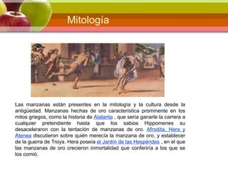 Las manzanas están presentes en la mitología y la cultura desde la
antigüedad. Manzanas hechas de oro característica prominente en los
mitos griegos, como la historia de Atalanta , que sería ganarle la carrera a
cualquier pretendiente hasta que los sabios Hippomenes su
desaceleraron con la tentación de manzanas de oro. Afrodita, Hera y
Atenea discutieron sobre quién merecía la manzana de oro, y establecer
de la guerra de Troya. Hera poseía el Jardín de las Hespérides , en el que
las manzanas de oro crecieron inmortalidad que conferiría a los que se
los comió.
Mitología
 