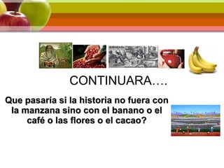 CONTINUARA….
Que pasaría si la historia no fuera con
la manzana sino con el banano o el
café o las flores o el cacao?
 