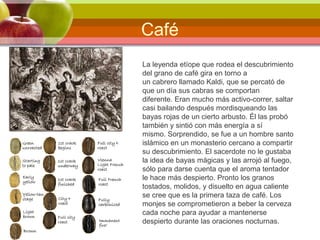 Café
La leyenda etíope que rodea el descubrimiento
del grano de café gira en torno a
un cabrero llamado Kaldi, que se percató de
que un día sus cabras se comportan
diferente. Eran mucho más activo-correr, saltar
casi bailando después mordisqueando las
bayas rojas de un cierto arbusto. Él las probó
también y sintió con más energía a sí
mismo. Sorprendido, se fue a un hombre santo
islámico en un monasterio cercano a compartir
su descubrimiento. El sacerdote no le gustaba
la idea de bayas mágicas y las arrojó al fuego,
sólo para darse cuenta que el aroma tentador
le hace más despierto. Pronto los granos
tostados, molidos, y disuelto en agua caliente
se cree que es la primera taza de café. Los
monjes se comprometieron a beber la cerveza
cada noche para ayudar a mantenerse
despierto durante las oraciones nocturnas.
 