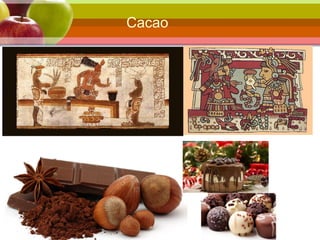 Cacao
 