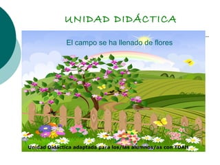 UNIDAD DIDÁCTICA
El campo se ha llenado de flores
Unidad Didáctica adaptada para los/las alumnos/as con TDAH
 