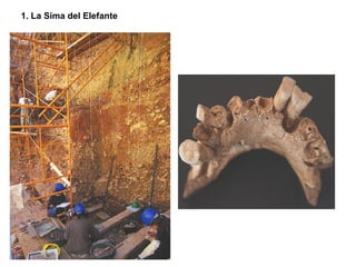 1. La Sima del Elefante 
