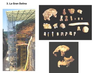 3. La Gran Dolina 