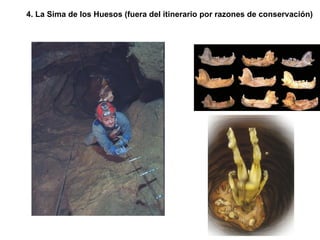 4. La Sima de los Huesos (fuera del itinerario por razones de conservación) 