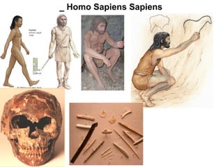 _ Homo Sapiens Sapiens 