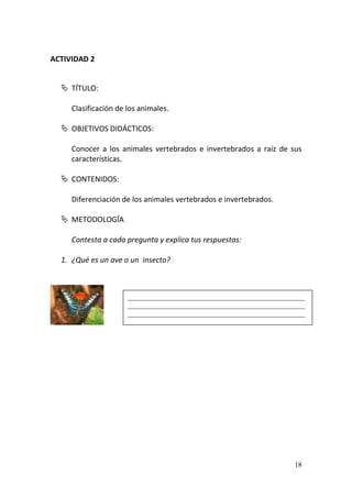18
ACTIVIDAD 2
 TÍTULO:
Clasificación de los animales.
 OBJETIVOS DIDÁCTICOS:
Conocer a los animales vertebrados e invertebrados a raíz de sus
características.
 CONTENIDOS:
Diferenciación de los animales vertebrados e invertebrados.
 METODOLOGÍA
Contesta a cada pregunta y explica tus respuestas:
1. ¿Qué es un ave o un insecto?
__________________________________________________
__________________________________________________
__________________________________________________
 
