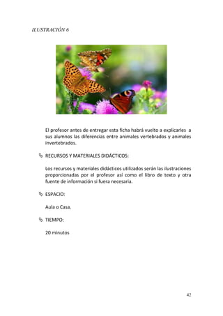 42
ILUSTRACIÓN 6
El profesor antes de entregar esta ficha habrá vuelto a explicarles a
sus alumnos las diferencias entre animales vertebrados y animales
invertebrados.
 RECURSOS Y MATERIALES DIDÁCTICOS:
Los recursos y materiales didácticos utilizados serán las ilustraciones
proporcionadas por el profesor así como el libro de texto y otra
fuente de información si fuera necesaria.
 ESPACIO:
Aula o Casa.
 TIEMPO:
20 minutos
 