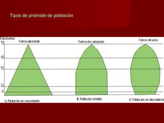 Tipos de pirámide de poblaciónTipos de pirámide de población
 