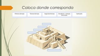 Coloca donde corresponda
 