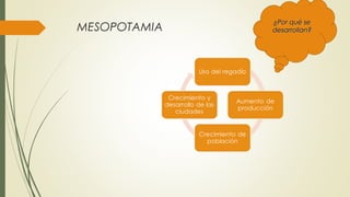 MESOPOTAMIA
¿Por qué se¿Por qué se
desarrollan?desarrollan?
 