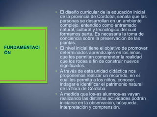 • El diseño curricular de la educación inicial
de la provincia de Córdoba, señala que las
personas se desarrollan en un ambiente
complejo, entendido como entramado
natural, cultural y tecnológico del cual
formamos parte. Es necesaria la toma de
conciencia sobre la preservación de las
plantas.
• El nivel inicial tiene el objetivo de promover
determinados aprendizajes en los niños,
que les permitan comprender la realidad
que los rodea a fin de construir nuevos
significados.
• A través de esta unidad didáctica nos
proponemos realizar un recorrido, en el
cual les permita a los niños, conocer,
indagar e identificar el patrimonio natural
de la flora de Córdoba.
• A medida que los-as alumnos-as vayan
realizando las distintas actividades podrán
iniciarse en la observación, búsqueda,
interpretación y comprensión.

 