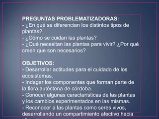 PREGUNTAS PROBLEMATIZADORAS:
- ¿En qué se diferencian los distintos tipos de
plantas?
- ¿Cómo se cuidan las plantas?
- ¿Qué necesitan las plantas para vivir? ¿Por qué
creen que son necesarios?

OBJETIVOS:
- Desarrollar actitudes para el cuidado de los
ecosistemas.
- Indagar los componentes que forman parte de
la flora autóctona de córdoba.
- Conocer algunas características de las plantas
y los cambios experimentados en las mismas.
- Reconocer a las plantas como seres vivos,
desarrollando un compartimiento afectivo hacia

 