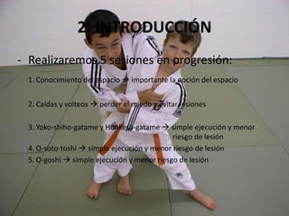 Gimnasio de 20x20 sin obstáculos