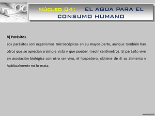 Núcleo 04: EL AGUA PARA EL
CONSUMO HUMANO
b) Parásitos
Los parásitos son organismos microscópicos en su mayor parte, aunque también hay
otros que se aprecian a simple vista y que pueden medir centímetros. El parásito vive
en asociación biológica con otro ser vivo, el hospedero, obtiene de él su alimento y
habitualmente no lo mata.
 