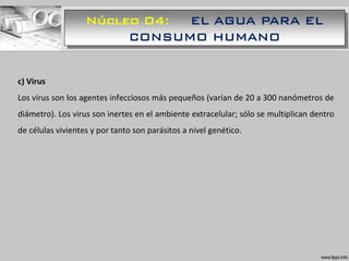 Núcleo 04: EL AGUA PARA EL
CONSUMO HUMANO
c) Virus
Los virus son los agentes infecciosos más pequeños (varían de 20 a 300 nanómetros de
diámetro). Los virus son inertes en el ambiente extracelular; sólo se multiplican dentro
de células vivientes y por tanto son parásitos a nivel genético.
 