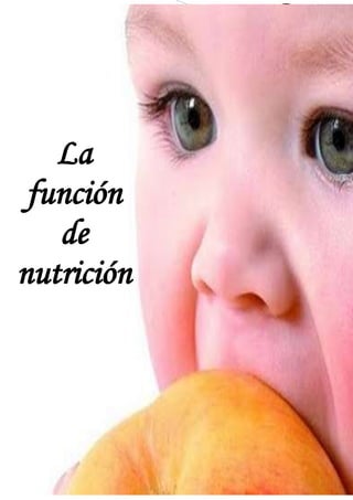 La función de nutrición
La
función
de
nutrición
 