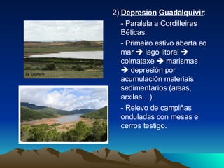 2)  Depresión   Guadalquivir :  - Paralela a Cordilleiras Béticas. - Primeiro estivo aberta ao mar    lago litoral    colmataxe    marismas    depresión por acumulación materiais sedimentarios (areas, arxilas…). - Relevo de campiñas onduladas con mesas e cerros testigo. 