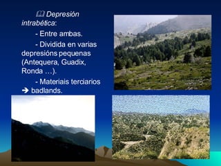    Depresión intrabética :  - Entre ambas. - Dividida en varias depresións pequenas (Antequera, Guadix, Ronda …). - Materiais terciarios    badlands. 