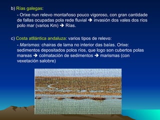b)  Rías galegas :  - Orixe nun relevo montañoso pouco vigoroso, con gran cantidade de fallas ocupadas pola rede fluvial    invasión dos vales dos ríos polo mar (varios Km)    Rías. c)  Costa atllántica andaluza : varios tipos de relevo: -  Marismas:  chairas de lama no interior das baías. Orixe: sedimentos depositados polos ríos, que logo son cubertos polas mareas    colmatación de sedimentos    marismas (con vexetación salobre) 