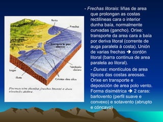 -  Frechas litorais : liñas de area que prolongan as costas rectilíneas cara o interior dunha baía, normalmente curvadas (gancho). Orixe: transporte da area cara a baía por deriva litoral (corrente de auga paralela á costa). Unión de varias frechas    cordón litoral (barra continua de area paralela ao litoral).  -  Dunas : montículos de area típicos das costas areosas. Orixe en transporte e deposición de area polo vento. Forma disimétrica    2 caras: barlovento (perfil suave e convexo) e sotavento (abrupto e cóncavo) 