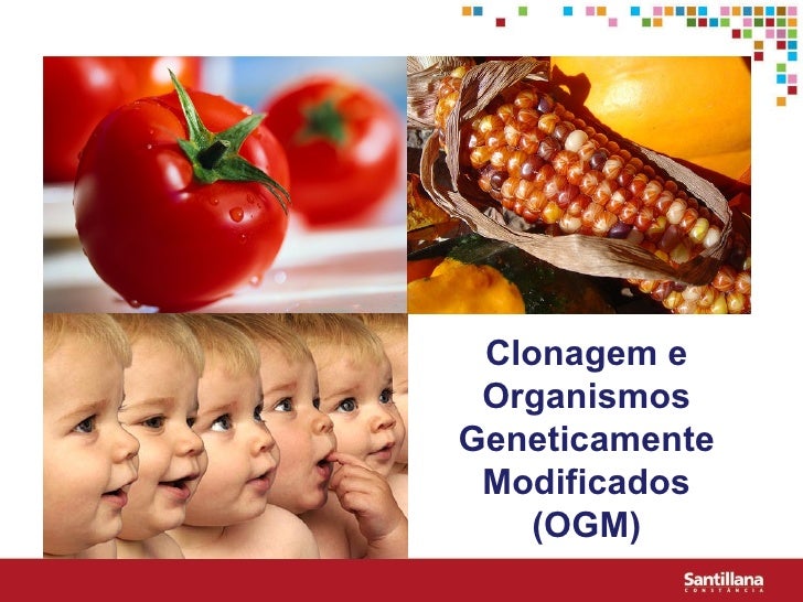 Clonagem e Organismos Geneticamente Modificados (OGM) 